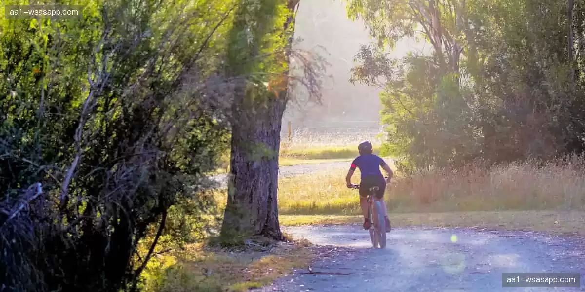 📱高清直播,随时随地掌控赛事!